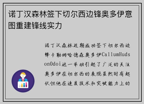 诺丁汉森林签下切尔西边锋奥多伊意图重建锋线实力